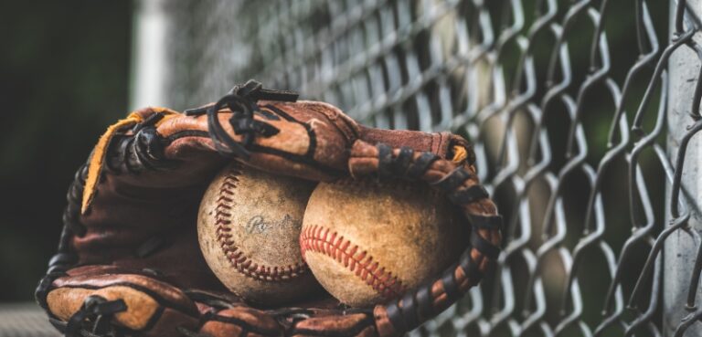 The WBL Baseball League Will Be A Hit